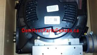 Carrier Draft Inducer Motor Assembly 340793762 [upl. by Eissej]