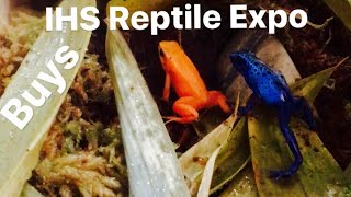 Poison Dart Frogs  Mixed Species from Expo to Tank [upl. by Brott]