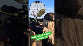 IMPRESSIVE AIRGUN ACCURACY  FX DRS  Best Airguns in the world  FX Airguns fxairguns shorts [upl. by Nnylyak]