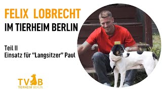 Felix Lobrecht im Tierheim Berlin  Champions suchen ein Zuhause  Folge 2 Paul [upl. by Edana]