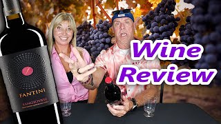 Fantini Sangiovese Wine Review [upl. by Inoj]