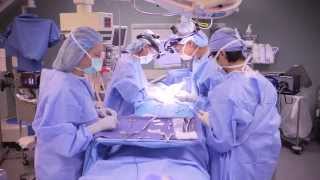 Parathyroid Surgery  UCLA Endocrine Surgery [upl. by Elvie76]