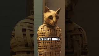 Ancient Egypt Mummified EVERYTHING Even Pets history [upl. by Nylasej614]