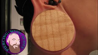 How to Stretch your Earlobe Piercings the safe and healthy way [upl. by Euqirne849]