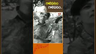 Sankranti Special Song 2024  Sankranti Galipatam Song  YoutubeShorts  Mango Music [upl. by Nueoras]