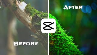 CapCut Tutorial  Before amp After Transition [upl. by Ennahtur]