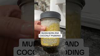 LAZY RECIPE FOR TASTY DESSERT MUNG BEAN AND COCONUT TAPIOCA PUDDING SOOO GOOD AND EASY TO MAKE [upl. by Bearce137]