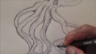 How to Draw an OctopusHexapus6 legs [upl. by Elegna]