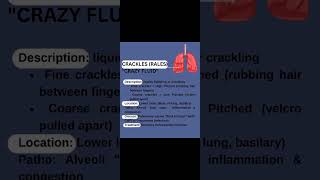 Crackles Rales quotCrazy Fluidquot Abnormal lung sounds [upl. by Lyndsie]