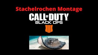 Der Stachelrochen sticht zu BO4 Montage [upl. by Gahan]