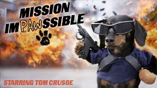 MISSION IMPAWSSIBLE  Funny Wiener Dog Action Movie [upl. by Issej329]