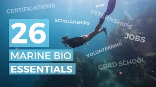 My Top 26 Job Boards for Marine Biology  Jobs Internships Scholarships amp SO much more [upl. by Monagan678]