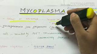 Mycoplasma  microbiology  handwritten notes [upl. by Eneirda665]