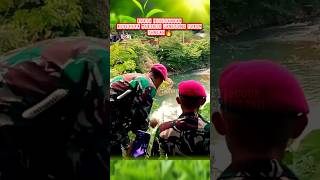 Marinir turun tangan lumpuhkan buaya raksasa komando prajurit marinir tnial abdinegara bravo [upl. by Corrie]