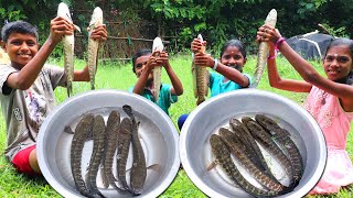 SNAKEHEAD MURREL FISH  Viral Meen Kulambu  Murrel Fish 65 Recipe  River Fish Cooking in Village [upl. by Everett72]