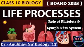 Blood and its components l Lymph l Lymph Node l Lymphatic System l Life process l Platelets l board [upl. by Simson395]