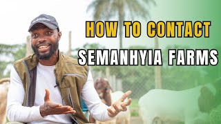 HOW TO CONTACT FARMING IN AFRICA AND SEMANHYIA FARMS [upl. by Ryhpez]