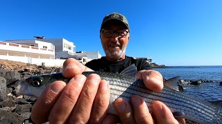 Pesca al Cefalo con Galleggiante Piombato e Pane Asciutto PESCARE I CEFALI IN MARE [upl. by Eissim693]