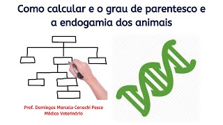 Como calcular o grau de parentesco e a endogamia dos animais [upl. by Strickler]