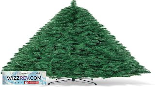 COSTWAY 8Ft Artificial PVC Christmas Tree WStand Holiday Season Indoor Outdoor Green Review [upl. by Zita472]