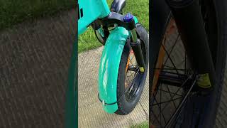 PVY Z20 plus 1000 electric bike ebike photos 250w electric bike [upl. by Arol]