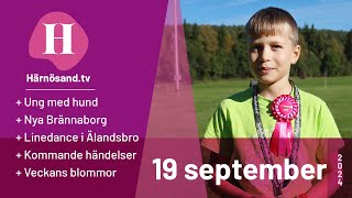 Härnösandtv  19 september 2024 [upl. by Leirraj]