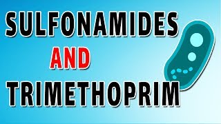 Sulfonamides and Trimethoprim [upl. by Yssenhguahs224]