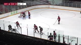 Ottawa 67s Live Stream [upl. by Hoi745]