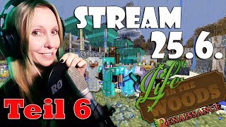 LIFE IN THE WOODS Minecraft  Stream vom 25617 Das Schloß 6 Facecam deutsch [upl. by Oglesby]