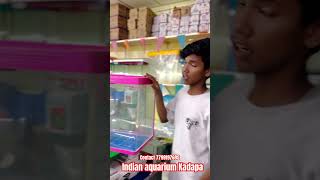 Kadapa pet shop fish tank 🥳fishtank vlogs vlogsvideo kadapasmartcity shortsvideo [upl. by Bartram]