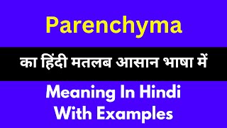 Parenchyma meaning in HindiParenchyma का अर्थ या मतलब क्या होता है [upl. by Eliott]