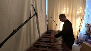 Marimba Improvisation 30072024 [upl. by Kal]