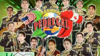 MARIACHI PEDREGAL TERESAwmv [upl. by Obala510]