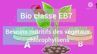 Besoins nutritifs des végétaux chlorophylliens [upl. by Felice]