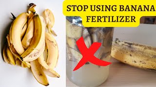 BANANA PEEL FERTILIZER  HARMFUL EFFECTS ON PLANTS [upl. by Aneg]