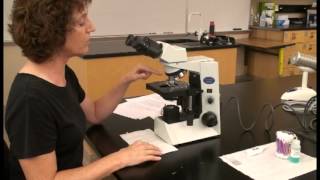 Microscope Tutorial  Detailed Version [upl. by Eicats306]