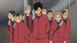 Nekoma Team Bonding BEST Moments  HAIKYUU [upl. by Imot]