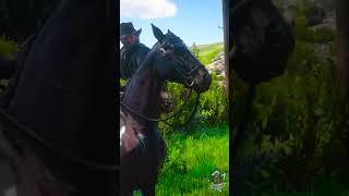 Hypocrite 😵‍💫rdr2 gameplay shorts [upl. by Idell]