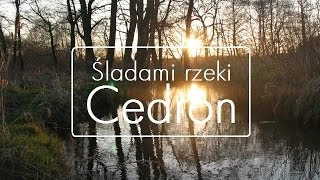 Śladami rzeki Cedron  cała rzeka  Wejherowo [upl. by Tranquada]