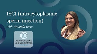 ICSI intracytoplasmic sperm injection with Amanda Iorio [upl. by Alrad20]