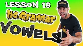 English Lesson Vowels and Consonants for Kids  Learn through music and rap with MC Grammar [upl. by Sucramed894]