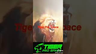 Tiger Pro Space metaspace tigerprospace [upl. by Bravar]