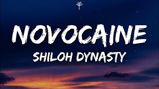 Shiloh Dynasty  Novocaine Lyrics [upl. by Esserac]