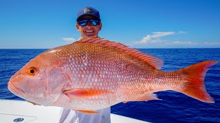 GIANT Red Snapper Grouper Tuna Catch Clean Cook Gulf of Mexico Fishing [upl. by Winola978]