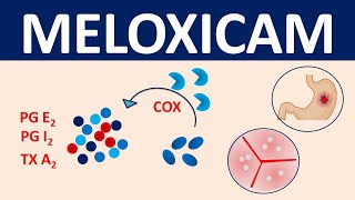 Meloxicam  Mechanism precautions side effects amp uses [upl. by Moersch]