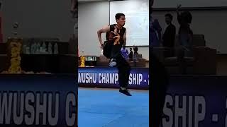 NANQUAN Wushu Championship 2024 martialarts karate champions shortvideo tanaysamazingfunworld [upl. by Glaser]