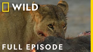 Savage Kingdom A New Dynasty Full Episode  National Geographic [upl. by Yadrahc]