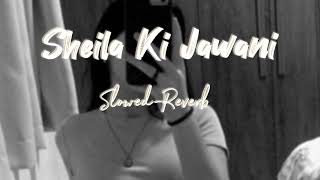 Sheila Ki Jawani  SlowedReverb 🎶  Tees Maar Khan  Sunidhi Chauhan [upl. by Dent]