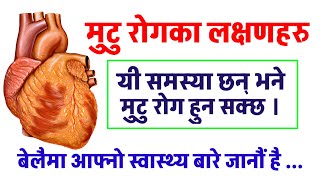 मुटु रोगका १२ लक्षणहरु  12 SYMPTOMS OF HEART DISEASE  यी लक्षण देखिए मुटु रोग हुन् सक्छ heart [upl. by Modnarb505]