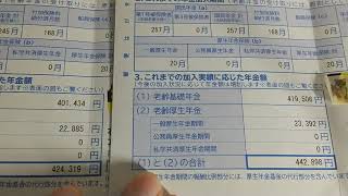 国民年金免除（全額免除）で1年間でいくら上がる？（ねんきん定期便より） [upl. by Anrahc]